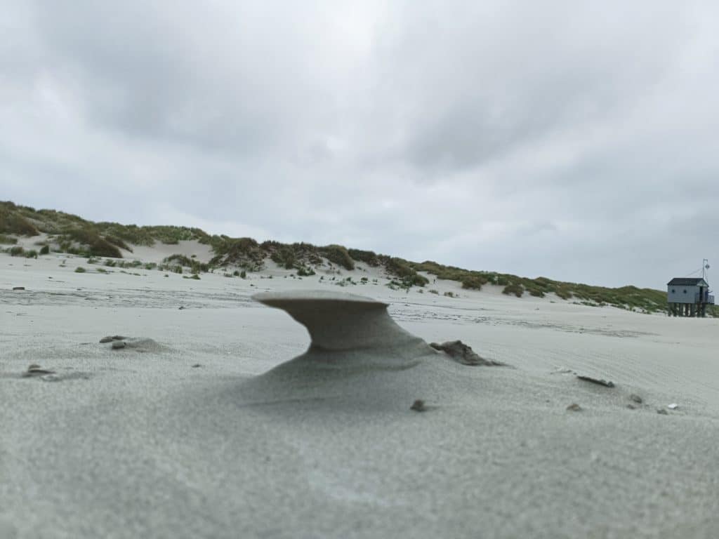 De zee en de duinen
